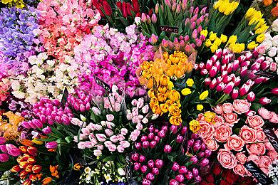 《巫师》官方食谱宣布11月21日发售 定价35美元