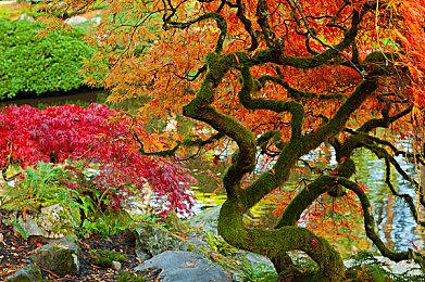 《伊苏X -北境历险-》配置需求公开 最低GTX 1060